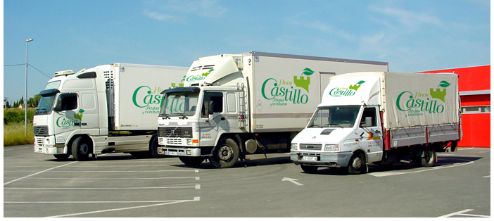 Distribución
