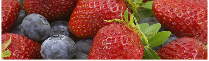 Propiedades nutricionales de frutas y verduras