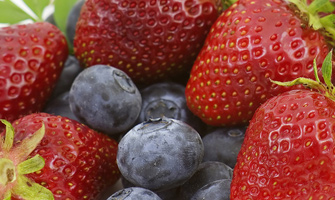Frutas Hermanos Castillo